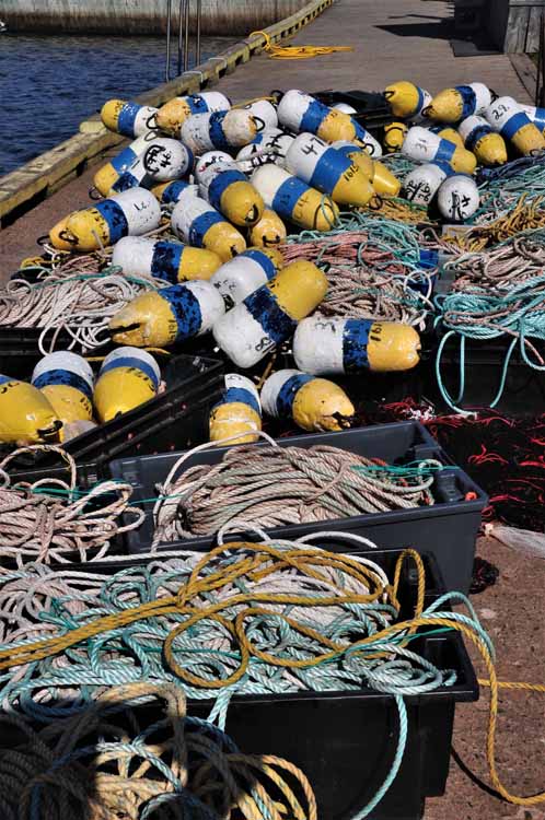 pile of buoys